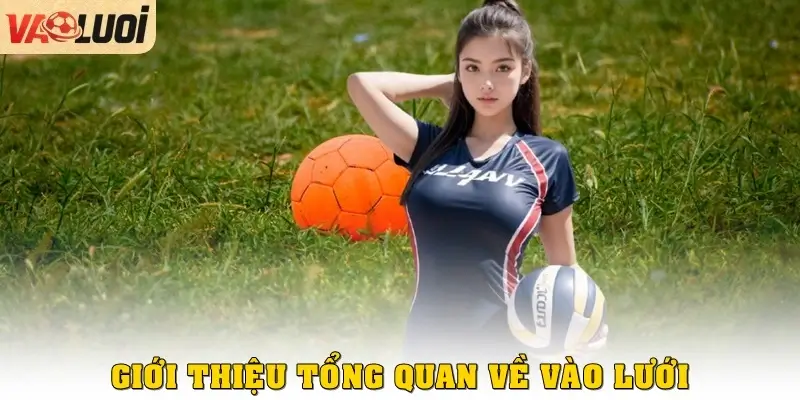 Giới thiệu tổng quan về Vào Lưới 